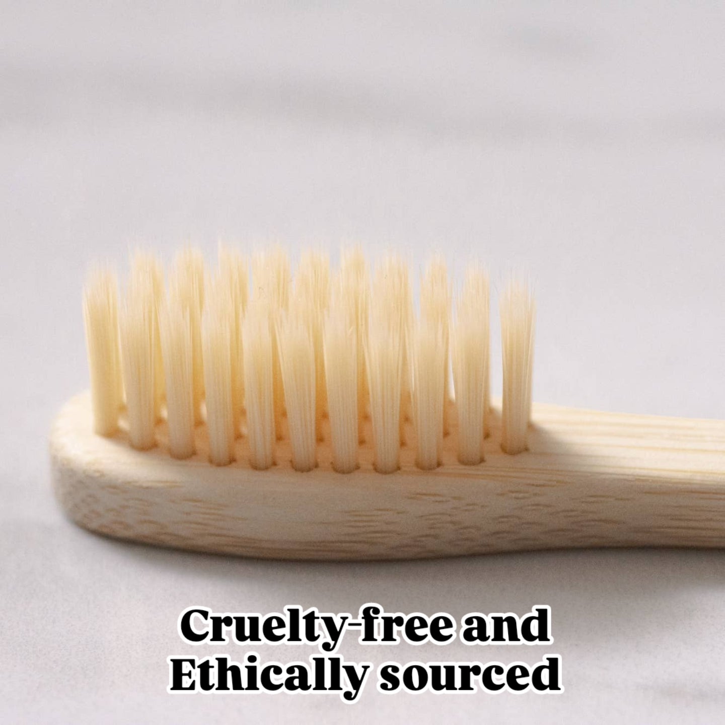 Bamboo toothbrush 10 pack